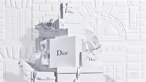 christian dior one|official Christian Dior website.